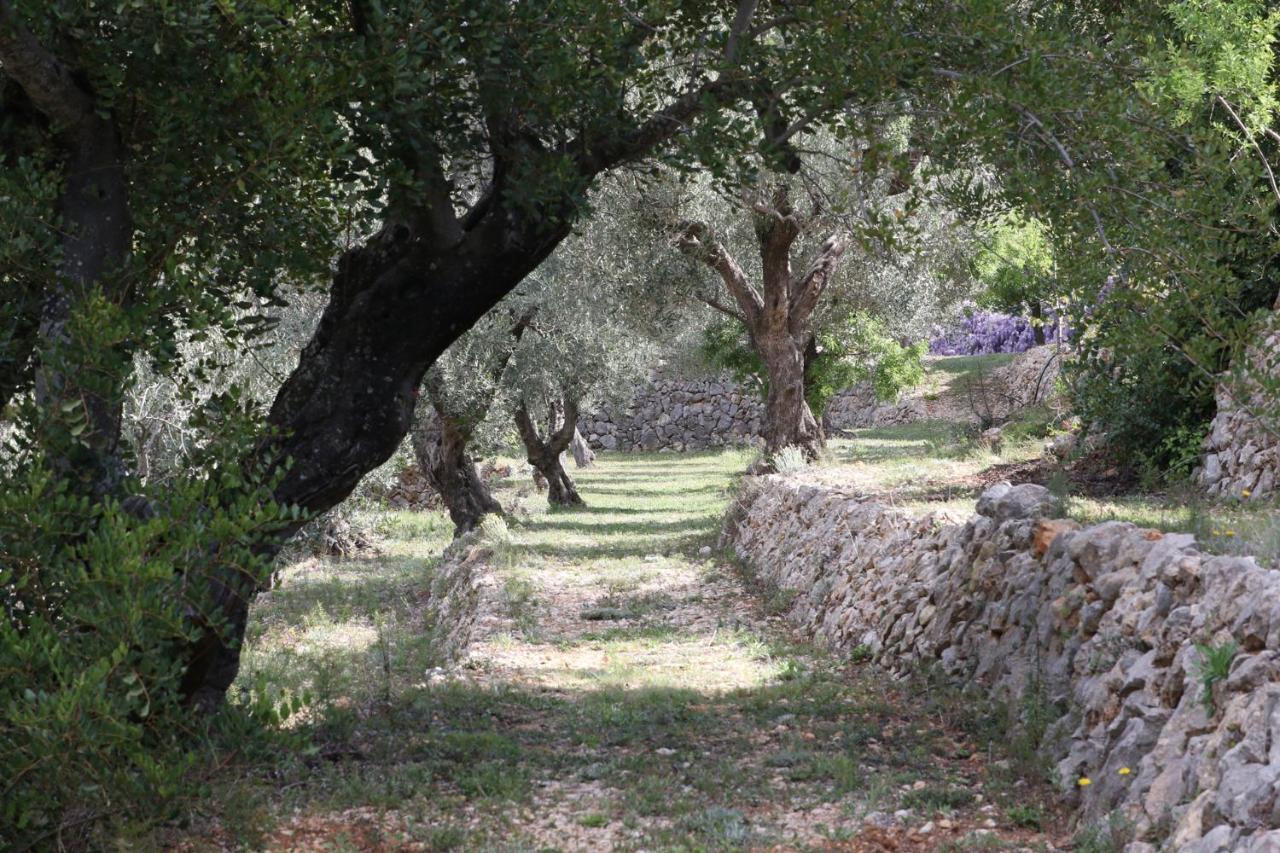 Foia Vella - Adults Only Bed & Breakfast 4*